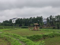 -乌村