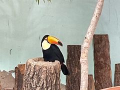 -北京野生动物园