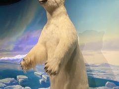 -陕西自然博物馆