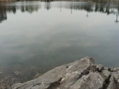 -眉山湿地公园(东坡区)