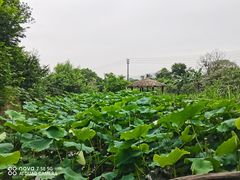 -驿舍·民國老营房院子私房菜(科学会堂店)