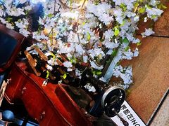 景观位-杂咖zacup(领展中心城店)