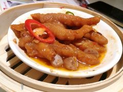 -南枝记
