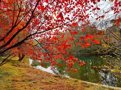 -北京动物园-畅观楼