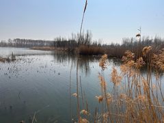 -野鸭湖国家湿地公园