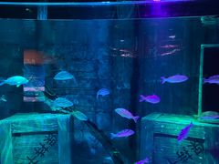 -沈阳海洋探索中心