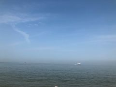 -野狸岛