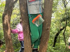 -上海佘山国家森林公园天马山园