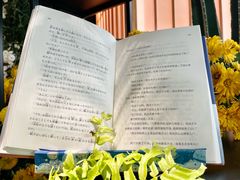 -帝京日语(春熙路旗舰校区)