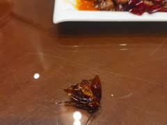 -飞虹鱼馆(春华路店)