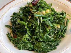 -巴依老爷新疆美食(常营店)