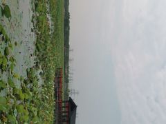 -天津东丽湖风景区