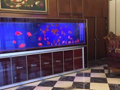 -梦都海鲜酒家(万达广场江桥店)