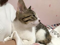 -宠颐生汉谟拉比宠物医院