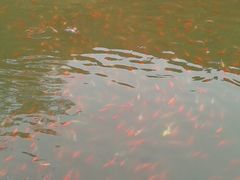 android_upload_pic-佳兆业国际影城(鞍山店)