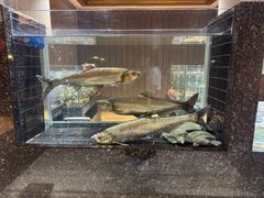 -许家菜(望江店)