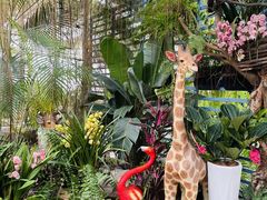 -石家庄市植物园