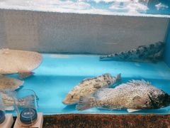 -郑庄脂渣海鲜楼(九水路店)