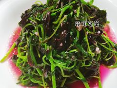 蒜茸苋菜-徽镇小厨·经典徽菜(十里河店)