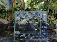 -上海海洋水族馆