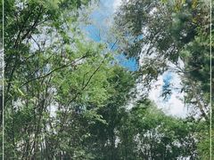 -墨江北回归线标志园