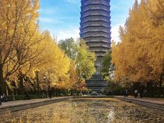 -玲珑塔公园