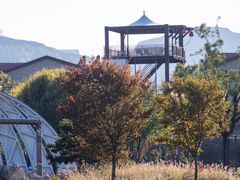 -尹家峪田园综合体