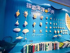 -石家庄海洋公园