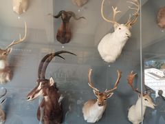 -陕西自然博物馆