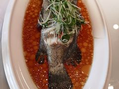 -老洋房花园饭店(绍兴路店)