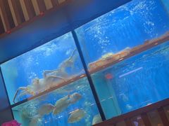 -珍宝海鲜JUMBO Seafood(尚嘉店)