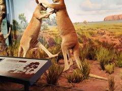 -陕西自然博物馆