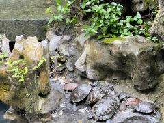 -普陀山风景名胜区-法雨禅寺