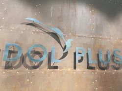-IDOL-PLUS