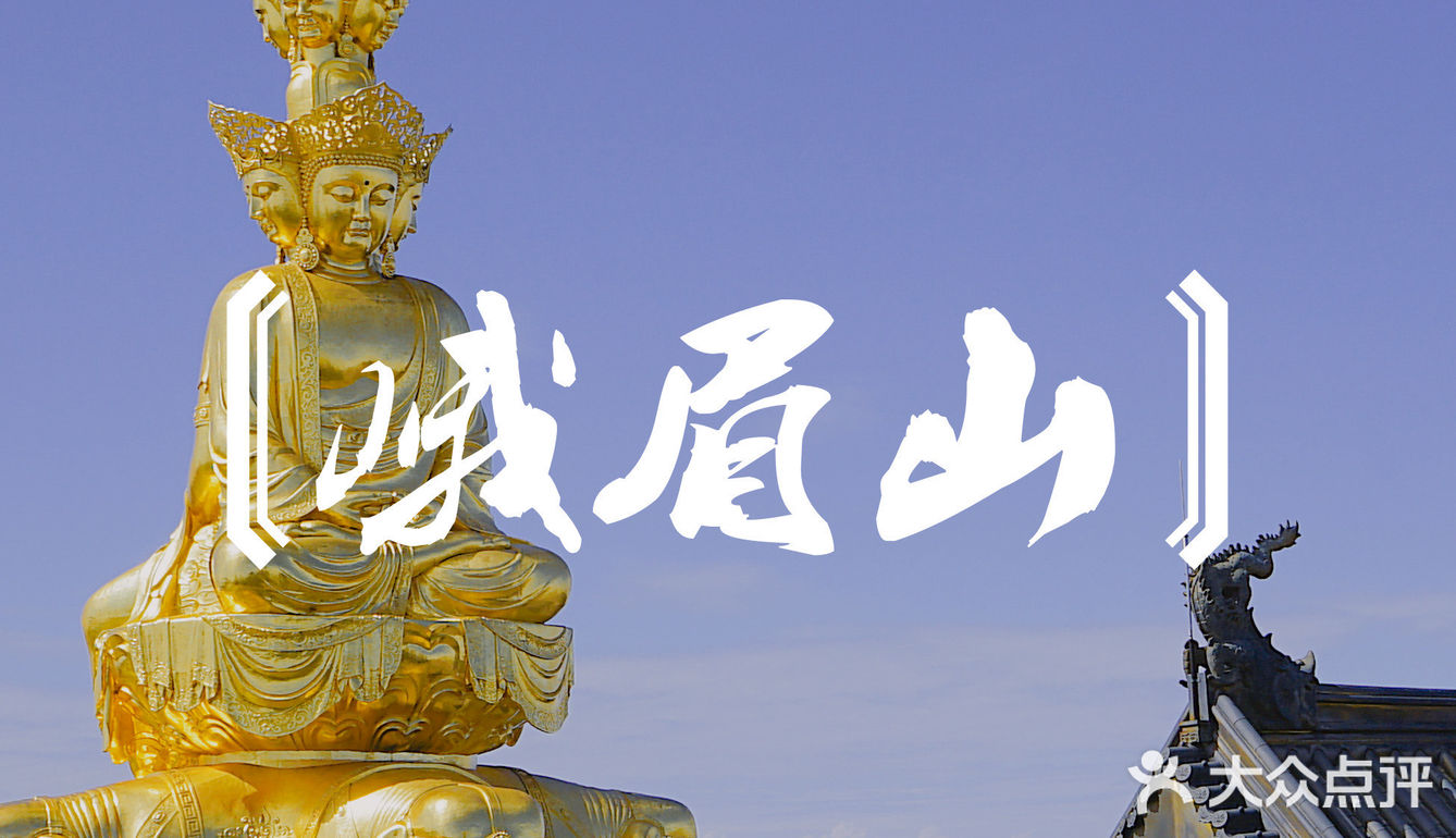 体验好但没回本 | 南航快乐飞用后感✈️