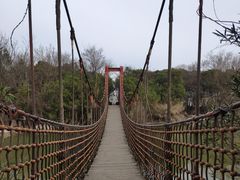 -上海吴淞炮台湾国家湿地公园