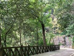 -广州市流溪河国家森林公园