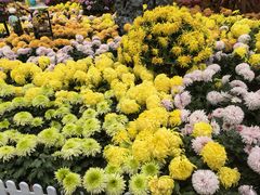-宝鸡植物园