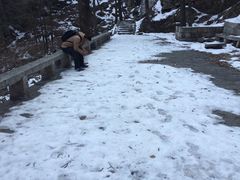 -尧山风景区