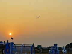 -空港花田景区