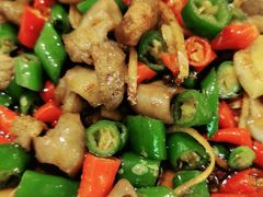 双椒肥肠-百年粉蒸牛肉