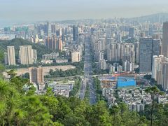 -板樟山森林公园