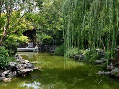 -秋霞圃