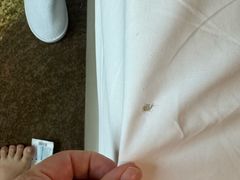 -天津东凯悦酒店