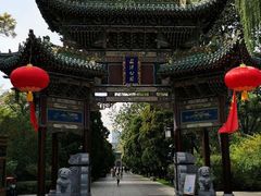 -迎泽公园