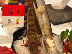 -鲜入围煮花胶鸡海鲜火锅