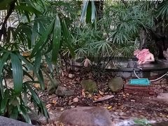 -丰泰花园酒店热矿泉