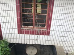 -上海都市菜园