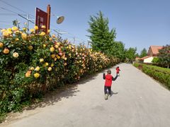 -意大利农场度假村