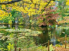 -北海道厅旧本厅舍(旧本庁舎)